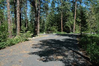 a campsite in Charles Waters Memorial campground