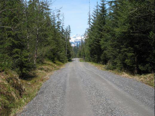 petersburg-interior_road_mitkof_island.jpg - Paved roadways are a special treat and found mainly in and close to the bigger Inside Passage towns.  This is the more typical roadway found throughout this part of Alaska.