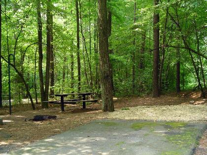 Pockett_campsite.jpg - 47264 Bytes