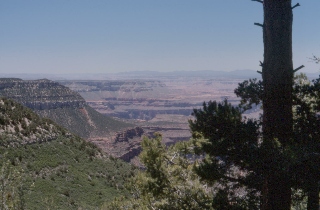 Grand Canyon from North Rim