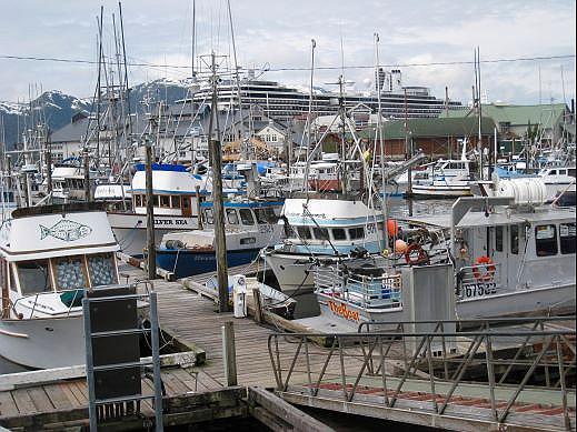 04-ketchikan_marina-w-cruise_ship.jpg - It was early in the fishing season so most of Ketchikan’s fishing fleet was still in harbor.  Unfortunately, the cost of diesel fuel and smaller fish populations may keep some of these boat tied up for most of the season.