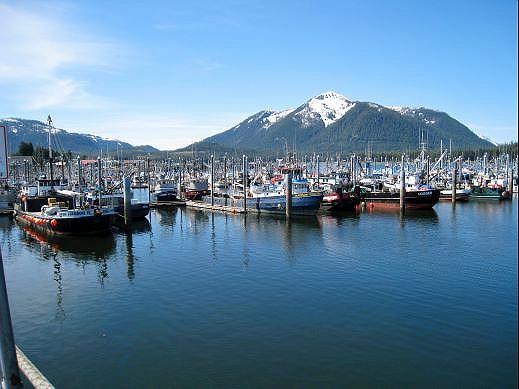 12-petersburg_harbor.jpg - Petersburg boasts the largest home-based fishing fleet in Alaska and known for the quality of the fish brought to port by its local fishermen.  One serving of Halibut cheeks will confirm that boast.
