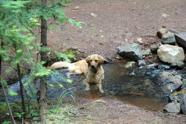 Our Dani cooling off