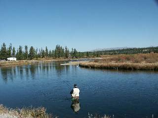 Fishing the Madison River in Gallatin NF