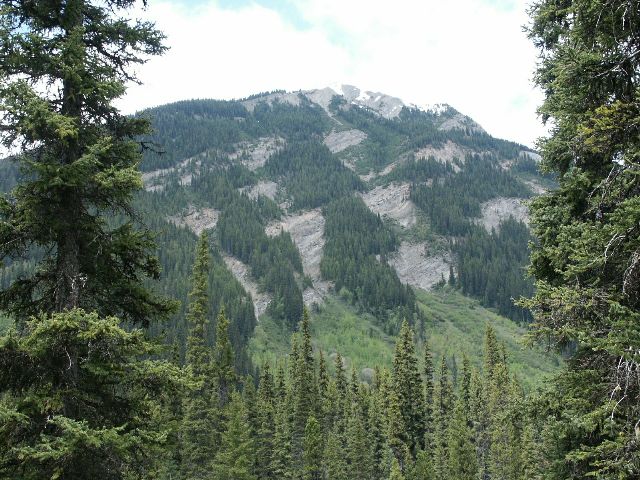 06.avalanchescars.jpg