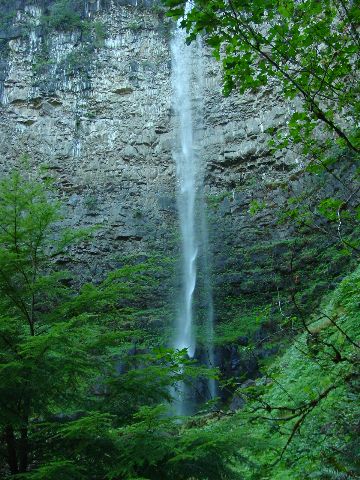 watson_falls.jpg - 64898 Bytes