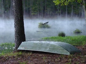 Quiet morning on Red Hills campground