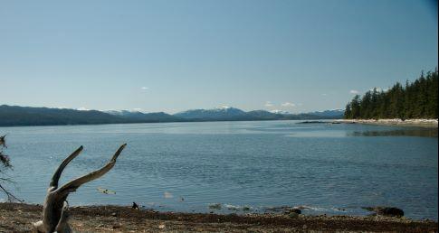 view_frm_trail_to_haida_totem_pole_park_kasaan3.jpg - View of Kasaan Bay from Totem Park (in front of Long Hall).