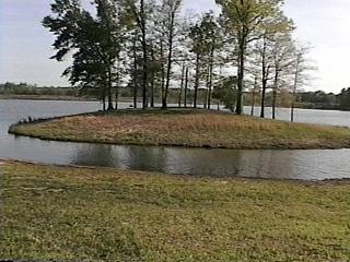 Alabama eufaula ford