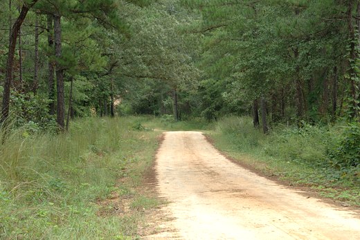 native soil road