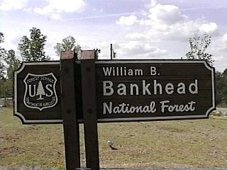 bankhead forest national alabama camping campground campgrounds dow forestcamping