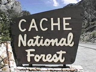 logan canyon camping spots