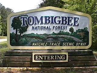 Tombigbee National Forest Campgrounds
