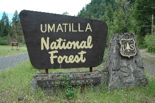 Umatilla National Forest North Fork John Day Campground