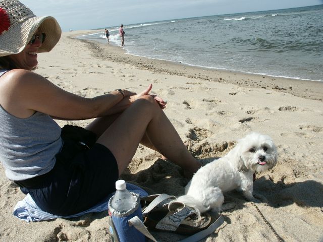 20_capecodseashore.jpg
