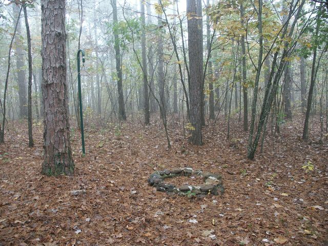 22_sam'sthorne_ozarknf.jpg