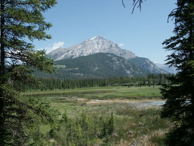 banff_marsh1.jpg