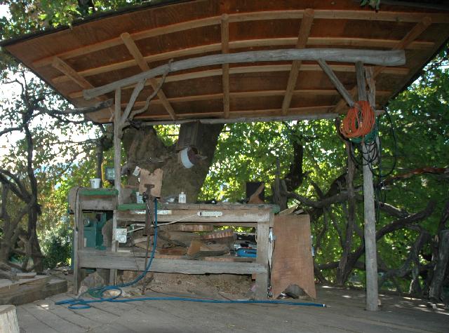 07its_a_burl6.jpg