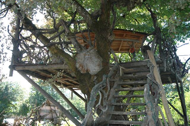 10its_a_burl5.jpg