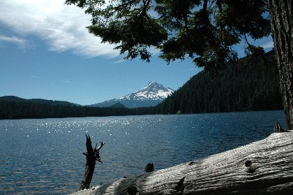 03alostlake_shoreline.jpg