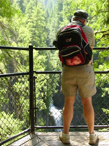 138_14_fred_toketeefalls_observation_deck_ump_nf.jpg