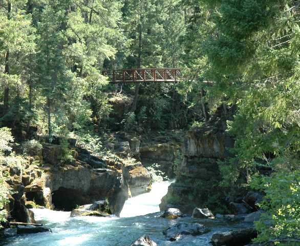 230_08_bridge_across_naturalbridge.jpg