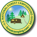 Forest Camping