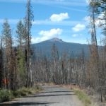 Biomass and campgrounds – what’s the connection?