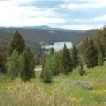 My Top Picks for National Forest Campgrounds – Montana