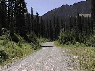 Escape to Serenity: Big Therriault Lake Campground, Montana