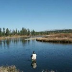 Some Fishing Spots in National Forests