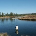 A Few Fishing Spots in some National Forests